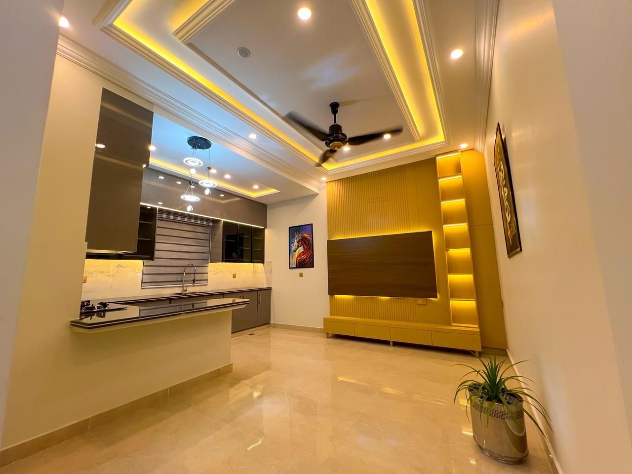 Kitchen and TV feature wall